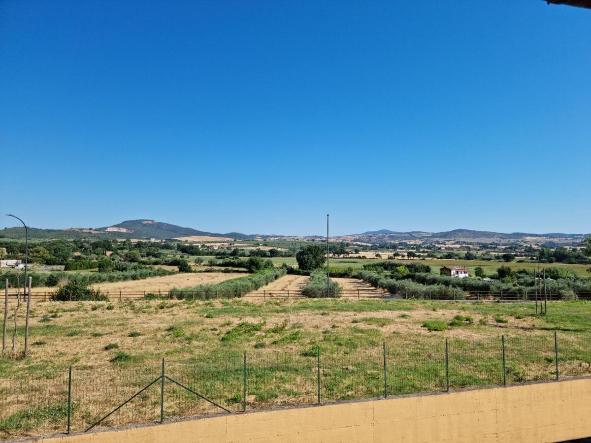 Istia Dream Apartment Istia d'Ombrone Bagian luar foto